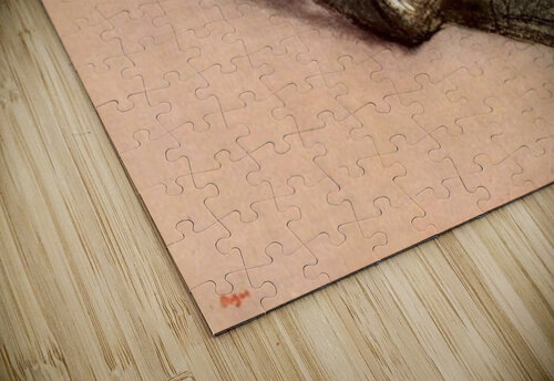 The milliner 2 Degas puzzle