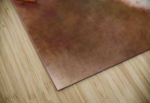 Prima Ballerina Degas puzzle