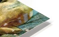 The Tub HD Metal print