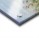 Cornflower Daisy Field  Acrylic print