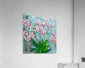 orchidpurple Acrylic Print