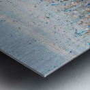 blue and white flowers  Metal print