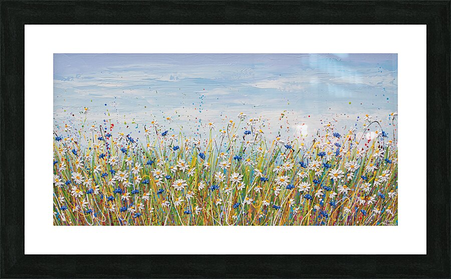 Cornflower Daisy Field  Picture Frame print