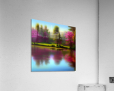 Tranquil Lake Acrylic Print