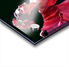 Dancing Lady  Acrylic print