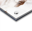 A Mother s Love Acrylic print