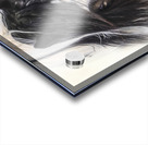 Blind Trust Acrylic print