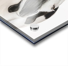 Defined Elegance Acrylic print