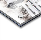 Breathe of Winter Acrylic print