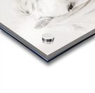 Soulful Acrylic print