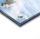 Joy in the Sky Acrylic print