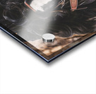 Invincible Acrylic print