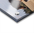 Free Spirit Acrylic print