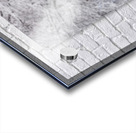 First Snow Acrylic print