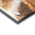 Field of Dreams Acrylic print