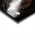 Embers in the Dark Acrylic print