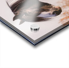 Silent Gaze Acrylic print