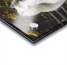 The Heart Knows Acrylic print