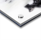  A Mother s Love II Acrylic print