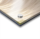 A Moment In Time Acrylic print