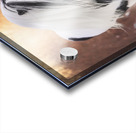 A winters Walk Acrylic print