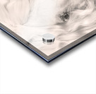 Dear Anna Acrylic print