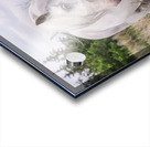 Wild Flower Acrylic print