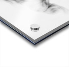 Unbridled Joy Acrylic print