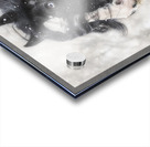 Snowstorm Acrylic print