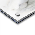 A Mother s Love IIII Acrylic print