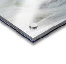 Having Fun Acrylic print