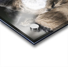 I See You Acrylic print