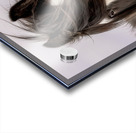 Unveiled Acrylic print