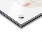 Ivory Passage Acrylic print