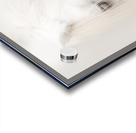 QuietGrace Acrylic print