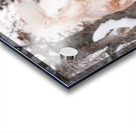 WinterLight Acrylic print