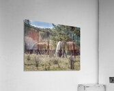 A Piece of Something Bigger Acrylic Print