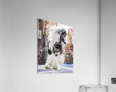 Be Brave Enough To Dream Acrylic Print