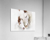 A Mother s Love Acrylic Print