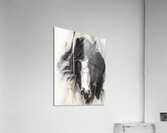 Blind Trust Acrylic Print