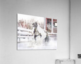 Breathe of Winter Acrylic Print