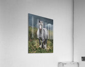 Dont stop Acrylic Print