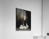 Dressed for Success Acrylic Print