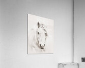 Soulful Acrylic Print