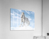 Joy in the Sky Acrylic Print