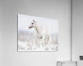 Winters Whisper Acrylic Print