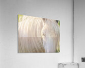 A Moment In Time Acrylic Print