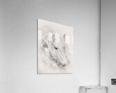 Fairytale Dreams Acrylic Print