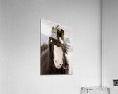 Unveiled Acrylic Print