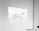 Ivory Passage Acrylic Print